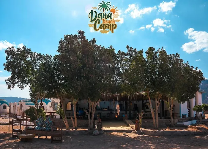 Dana Camp *